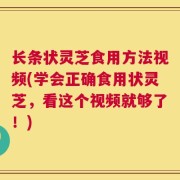 长条状灵芝食用方法视频(学会正确食用状灵芝，看这个视频就够了！)