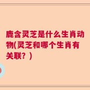 鹿含灵芝是什么生肖动物(灵芝和哪个生肖有关联?)