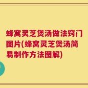 蜂窝灵芝煲汤做法窍门图片(蜂窝灵芝煲汤简易制作方法图解)