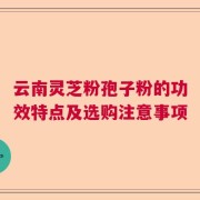 云南灵芝粉孢子粉的功效特点及选购注意事项