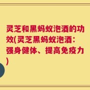 灵芝和黑蚂蚁泡酒的功效(灵芝黑蚂蚁泡酒：强身健体、提高免疫力)