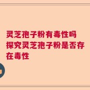 灵芝孢子粉有毒性吗 探究灵芝孢子粉是否存在毒性
