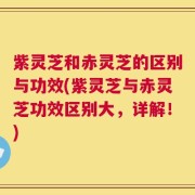 紫灵芝和赤灵芝的区别与功效(紫灵芝与赤灵芝功效区别大，详解！)