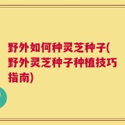 野外如何种灵芝种子(野外灵芝种子种植技巧指南)