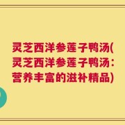 灵芝西洋参莲子鸭汤(灵芝西洋参莲子鸭汤：营养丰富的滋补精品)