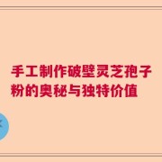 手工制作破壁灵芝孢子粉的奥秘与独特价值