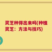 灵芝种得出来吗(种植灵芝：方法与技巧)