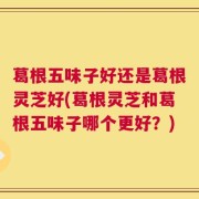 葛根五味子好还是葛根灵芝好(葛根灵芝和葛根五味子哪个更好？)