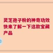 灵芝孢子粉的神奇功效快来了解一下这款宝藏产品