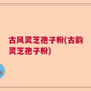 古风灵芝孢子粉(古韵灵芝孢子粉)