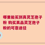 哪里能买到真灵芝孢子粉 购买真品灵芝孢子粉的可靠途径