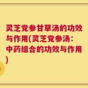 灵芝党参甘草汤的功效与作用(灵芝党参汤：中药组合的功效与作用)