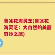 鲁冰花海灵芝(鲁冰花海灵芝：大自然的美丽奇妙之旅)