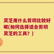 灵芝用什么剪切比较好呢(如何选择适合剪切灵芝的工具？)