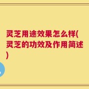 灵芝用途效果怎么样(灵芝的功效及作用简述)