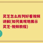 灵芝怎么陈列好看视频讲解(如何美观地展示灵芝-视频教程)