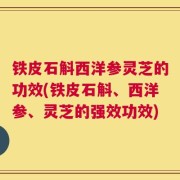 铁皮石斛西洋参灵芝的功效(铁皮石斛、西洋参、灵芝的强效功效)