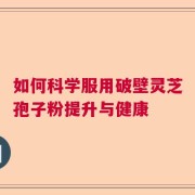 如何科学服用破壁灵芝孢子粉提升与健康