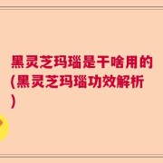 黑灵芝玛瑙是干啥用的(黑灵芝玛瑙功效解析)