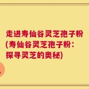 走进寿仙谷灵芝孢子粉(寿仙谷灵芝孢子粉：探寻灵芝的奥秘)