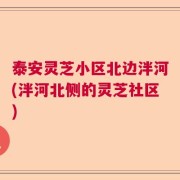 泰安灵芝小区北边泮河(泮河北侧的灵芝社区)
