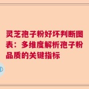灵芝孢子粉好坏判断图表：多维度解析孢子粉品质的关键指标
