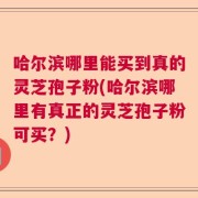 哈尔滨哪里能买到真的灵芝孢子粉(哈尔滨哪里有真正的灵芝孢子粉可买？)