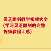 灵芝雕刻教学视频大全(学习灵芝雕刻的完整视频教程汇总)