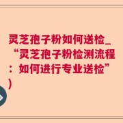 灵芝孢子粉如何送检_“灵芝孢子粉检测流程:如何进行专业送检”)
