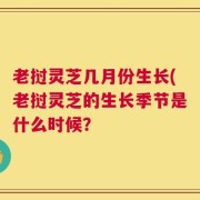老挝灵芝几月份生长(老挝灵芝的生长季节是什么时候？