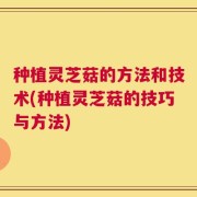 种植灵芝菇的方法和技术(种植灵芝菇的技巧与方法)