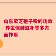 山东灵芝孢子粉的功效 养生保健滋补等多方面作用
