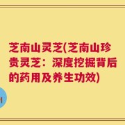 芝南山灵芝(芝南山珍贵灵芝：深度挖掘背后的药用及养生功效)
