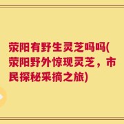 荥阳有野生灵芝吗吗(荥阳野外惊现灵芝，市民探秘采摘之旅)