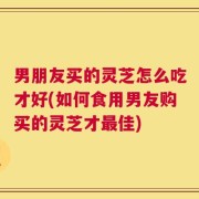 男朋友买的灵芝怎么吃才好(如何食用男友购买的灵芝才最佳)