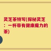 灵芝茶特写(探秘灵芝：一杯带有健康魔力的茶)