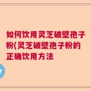如何饮用灵芝破壁孢子粉(灵芝破壁孢子粉的正确饮用方法
