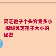 灵芝孢子个头究竟多小 探秘灵芝孢子大小的秘密