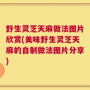 野生灵芝天麻做法图片欣赏(美味野生灵芝天麻的自制做法图片分享)