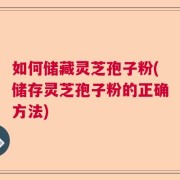 如何储藏灵芝孢子粉(储存灵芝孢子粉的正确方法)