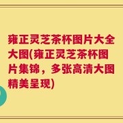 雍正灵芝茶杯图片大全大图(雍正灵芝茶杯图片集锦，多张高清大图精美呈现)