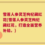 雪莲人参灵芝枸杞藏红花(雪莲人参灵芝枸杞藏红花，打造全面营养补给。)