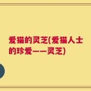爱猫的灵芝(爱猫人士的珍爱——灵芝)