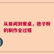 从田间到餐桌，孢子粉的制作全过程