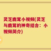 灵芝鹿茸小视频(灵芝与鹿茸的神奇结合：小视频简介)