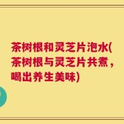 茶树根和灵芝片泡水(茶树根与灵芝片共煮，喝出养生美味)