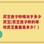灵芝孢子粉相当于多少灵芝(灵芝孢子粉的等效灵芝重量是多少？)