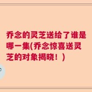 乔念的灵芝送给了谁是哪一集(乔念惊喜送灵芝的对象揭晓！)
