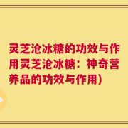 灵芝沧冰糖的功效与作用灵芝沧冰糖：神奇营养品的功效与作用)
