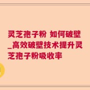 灵芝孢子粉 如何破壁_高效破壁技术提升灵芝孢子粉吸收率